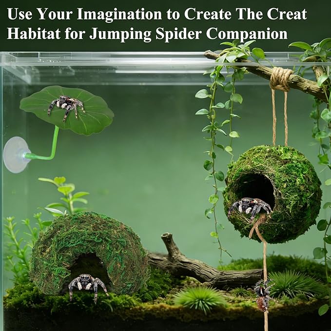 Big Jumping Spider Hide Kit, Jumping Spider Enclosures Habitat Accessories, Climbing Spiders Resting Hideout with Suction Cup Rope Bridge Leaf Ledge for Tarantula Small Insects