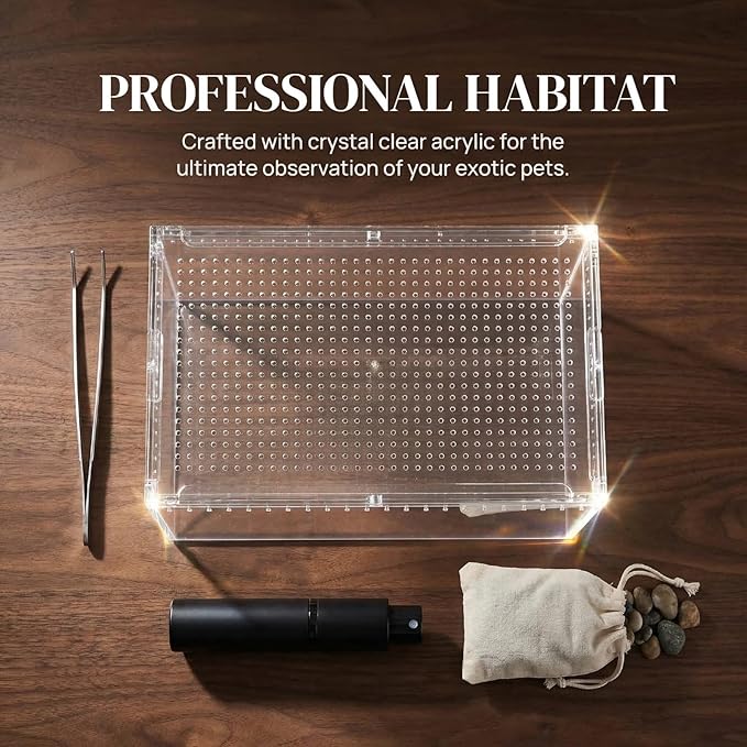 8x6x4 Inch Terrarium with Magnetic Top Sliding Lid, Clear View Critter Keeper & Spider Enclosure, Jumping Spider/Tarantula Habitat, Hermit Crab Tank, Tadpole to Frog Kit