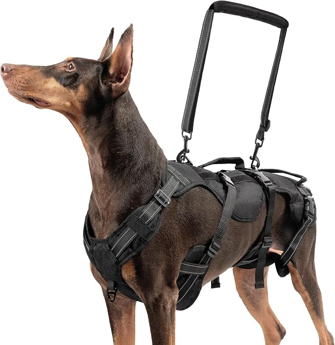 BINGPET Dog Lift Harness for Large Dogs, Full Body Adjustable Handle Sling | Reflective Lifting Harness Rehabilitation Sling Carrier with Soft Padded Handle, Mobility Assistance Vest for Senior Pets
