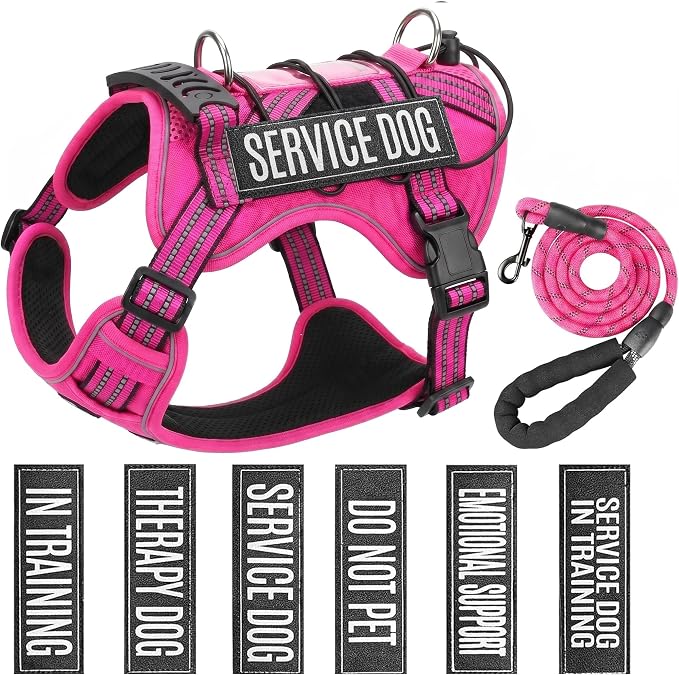 Service Dog Tactical Vest Harness and Leash Set Large Sized Dog Emotional Support- Tactical Dog Harness Training Collar with Name (Rose Red, M)