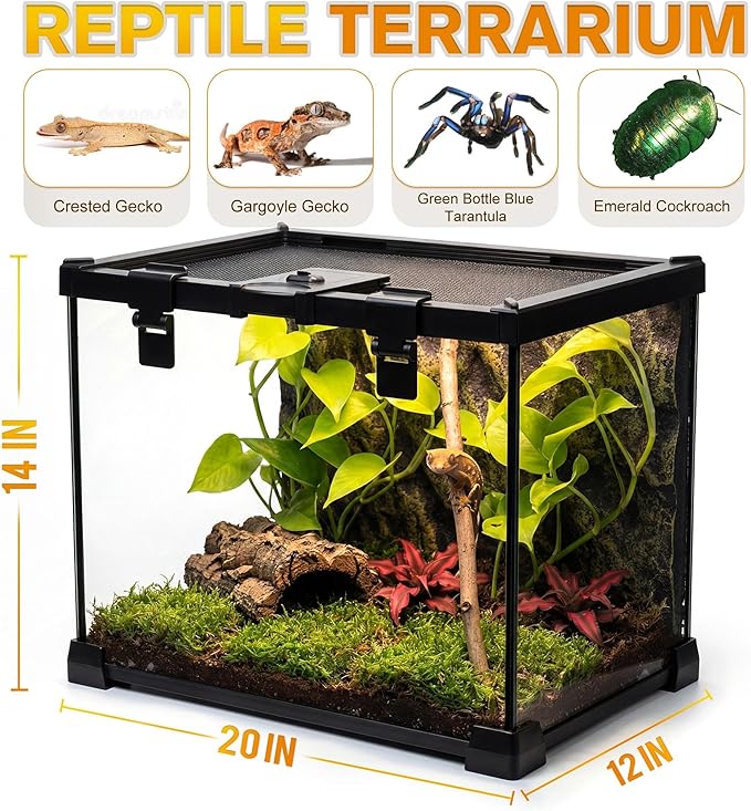 20"x12"x14" Reptile Terrarium, Escape-Proof Glass Arboreal Vivarium for Small Arboreal Reptiles Such as Crested Geckos, with Escape-Proof Lock & Feeding Hatch