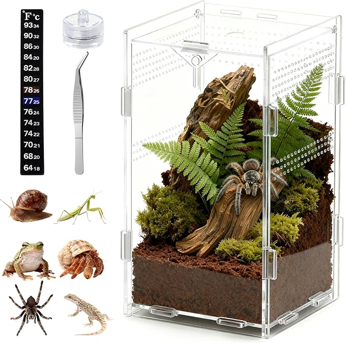 Acrylic Jumping Spider Enclosure, Small Reptile Insect Terrarium, Spider Tank with Magnetic Door & All-Side Vent, Pre-Assembled Habitat for Spiderling, Mantis, Tarantula, Snail 7.8" * 4.7" * 4.7