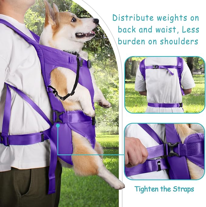 PetBonus Dog Front Carrier Backpacks, Legs Out Easy-fit Puppy Chest Carrier | Hands Free, Adjustable, Safety Strap, Walking Hiking Cycling Motorcycle bag, For Small Medium Dogs (Purple, S)
