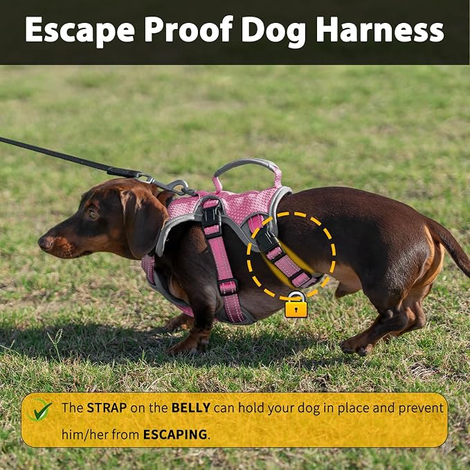 Escape Proof Dog Harness, Dachshund Harness, Reflective Dog Harness with Handle, Durable,Adjustable Vest for Small Medium Large Dogs Walking, Training, and Running Gear (Pink,XL)