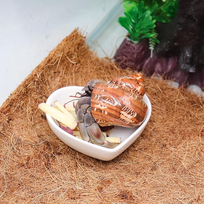 3 Pcs Hermit Crab Ceramic Dish Kit, Mini Food & Water Bowl, Suitable for Hermit Crab, Tarantula, Snail