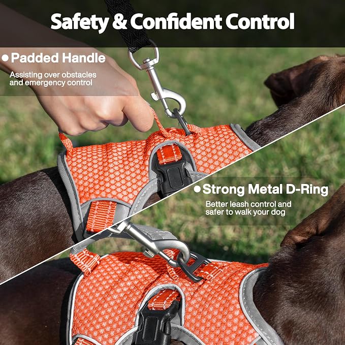 Escape Proof Dog Harness, Dachshund Harness, Reflective Dog Harness with Handle, Durable,Adjustable Vest for Small Medium Large Dogs Walking, Training, and Running Gear (Orange,M)
