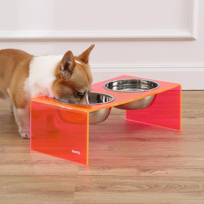 DBL2001E Keaton 7.5" Medium/Large Modern Acrylic Rectangular Elevated Pet Feeder with 54oz 2-Stainless Steel Bowls, Pink/Chrome