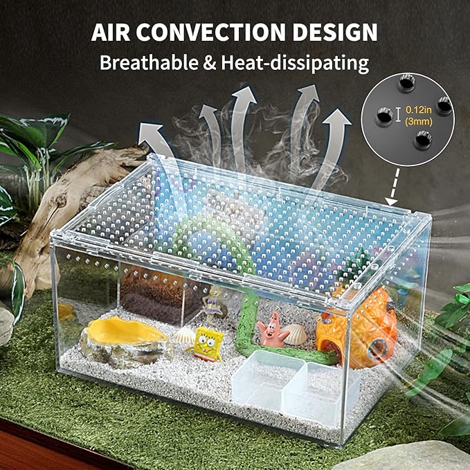 Reptile PC Terrarium 12" x 8" x 6", Tarantula Enclosure,Spider Tank Starter Kit, Hermit Crab Habitat,Lizard Enclosure,Insect Housing,Jumping Spider Cage