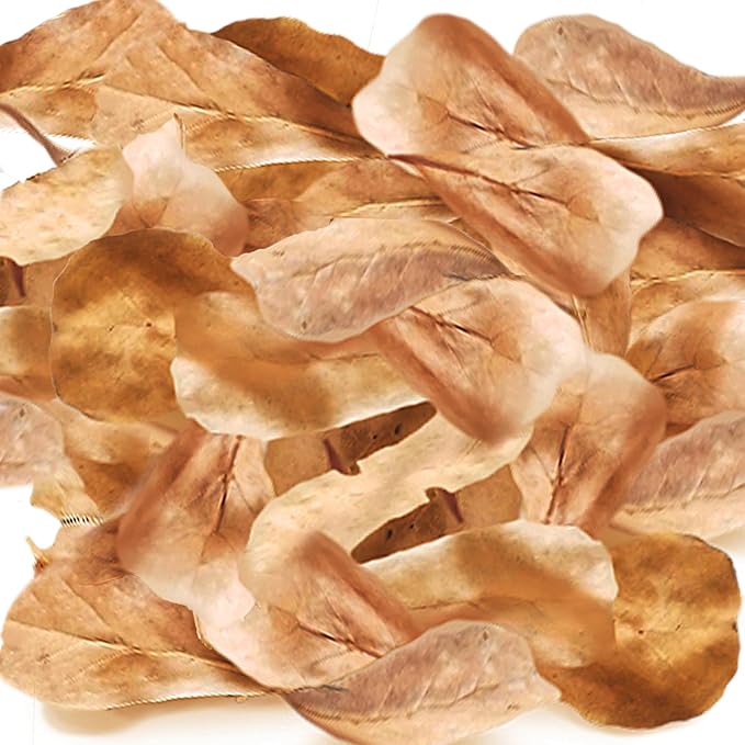 SunGrow 100 Pack Leaf Litter for Spider, Cricket & Isopod, Mini Catappa Dried Indian Almond Leaves, for Vivarium, Terrarium & Aquarium, Mimics Familiar Habitat & Perfect Hiding Spot, Terrarium Décor
