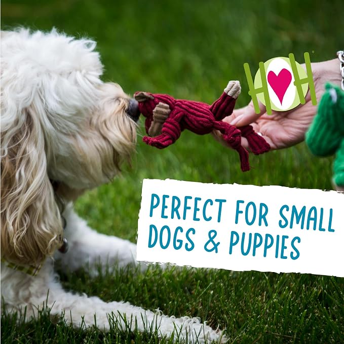 HuggleHounds Knottie Plush Dog Toy - Dog Stuffed Animal Toy, Squeaky Puppy Toys, for Small & Medium Dogs, Durable Plush to Keep Them Busy - Wee Knotties Variety Pack (6 Count)