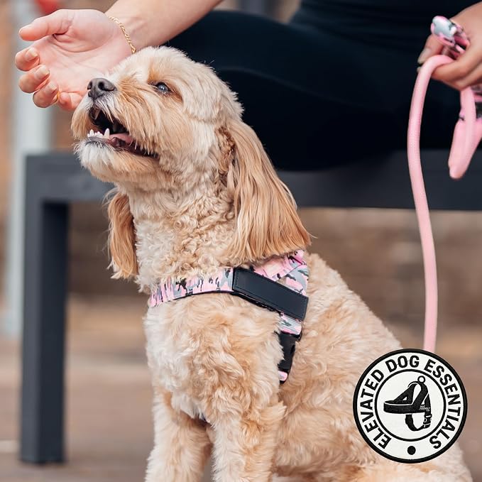 Dog Friendly Co. Dog Harness for Large Dogs (Pink Camo, Large) | One Click Buckle, Chafe Resistant Webbing, Adjustable Neck & Chest, and Heavy Duty D-Ring, Sturdy Comfortable and Easy to Use