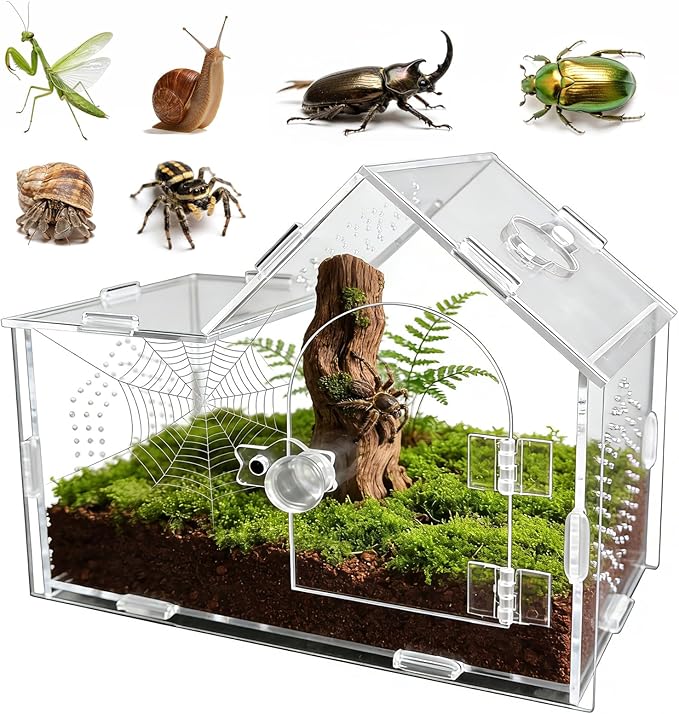Acrylic Jumping Spider Enclosure with Magnetic Lock – Clear Ventilated Terrarium Box for Tarantulas, Geckos, Mantises, Hermit Crabs, Snails, and Other Small Pets (7.9 x 4 x 6 Inch)
