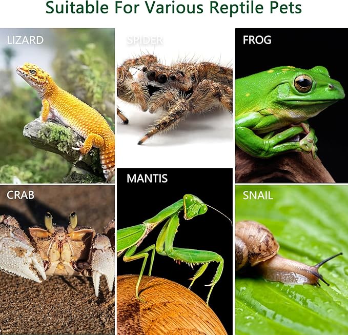 Acrylic Jumping Spider Enclosure, Small Reptile Insect Terrarium, Spider Tank with Magnetic Door & All-Side Vent, Pre-Assembled Habitat for Spiderling, Mantis, Tarantula, Snail 7.8" * 4.7" * 4.7