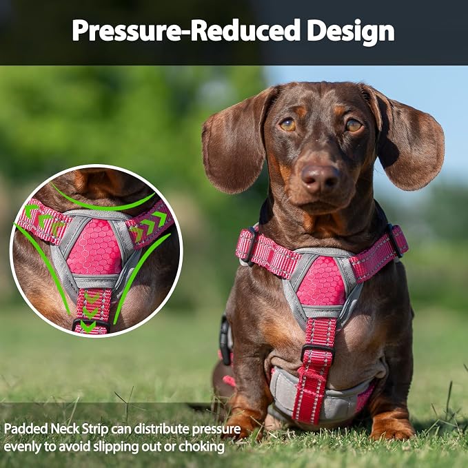 Escape Proof Dog Harness, Dachshund Harness, Reflective Dog Harness with Handle, Durable,Adjustable Vest for Small Medium Large Dogs Walking, Training, and Running Gear (Rose red,S)