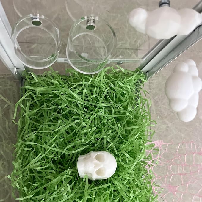 2Pcs Jumping Spider Feeding Dish, Magnetic Tiny Food Dishes Water Dish for Jumping Spider, Tarantula and Other Small Pets,Transparent