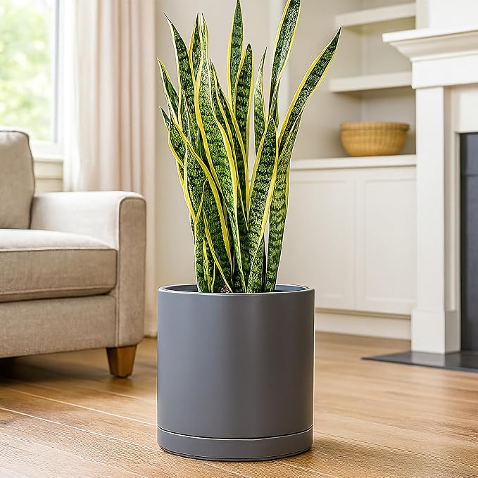 D'vine Dev 12 Inch Ceramic Planter Pot, Grey, 94-O-F-3 | Modern Cylinder Design, Drainage Hole & Saucer Included, Stable Structure, Elegant Home Accent