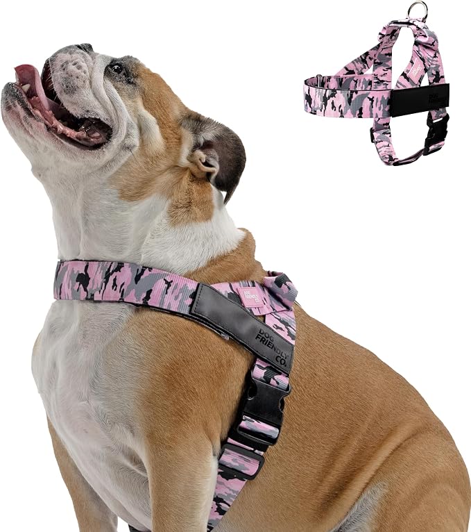Dog Friendly Co. Dog Harness for Large Dogs (Pink Camo, Extra Large) | One Click Buckle, Chafe Resistant Webbing, Adjustable Neck & Chest, and Heavy Duty D-Ring, Sturdy Comfortable and Easy to Use