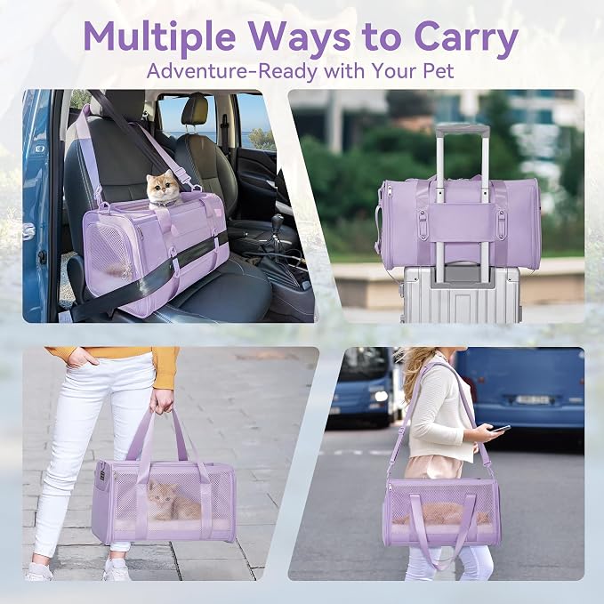 PETSFIT Large Cat Carrier with Patented Safety Buckles,Big Cats Up to 20 lb | Secure Carrier for Safe Driving, Lockable Zippers, Safety Tether, Travel Pet Carrier for Trips & Vet Visits, 19 x 12 x 12