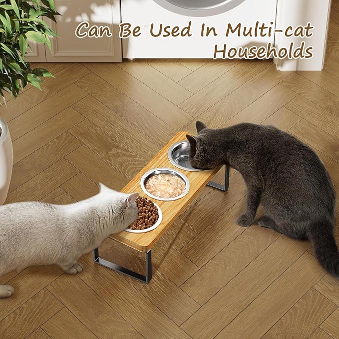 2 Pack Elevated Cat Bowls with 3 Stainless Steel Bowls | 10° Tilted Anti-Vomiting Raised Cat Food Bowl for Small Cats and Puppies Pet Bowl with Stand