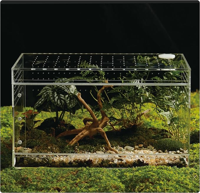 Acrylic Terrarium for Reptiles & Spiders – Small/Medium/Large Leak-Proof Enclosure (Horizontal/Vertical) | Ideal for Tarantulas, Jumping Spiders, Frogs & Geckos (Large, Horizontal)