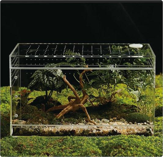 Acrylic Terrarium for Reptiles & Spiders – Small/Medium/Large Leak-Proof Enclosure (Horizontal/Vertical) | Ideal for Tarantulas, Jumping Spiders, Frogs & Geckos (Large, Horizontal)