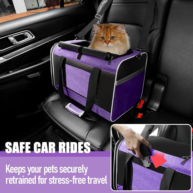 GAPZER Large Cat Carrier Soft, Collapsible Travel Pet Carry Bag, Small Dogs | Large Cats up to 20 lbs+ Maine Coon, Top Load Transport Small Puppy Dog Crate, Chihuahua Mini Dog 10lbs, Sturdy Fabric Pueple
