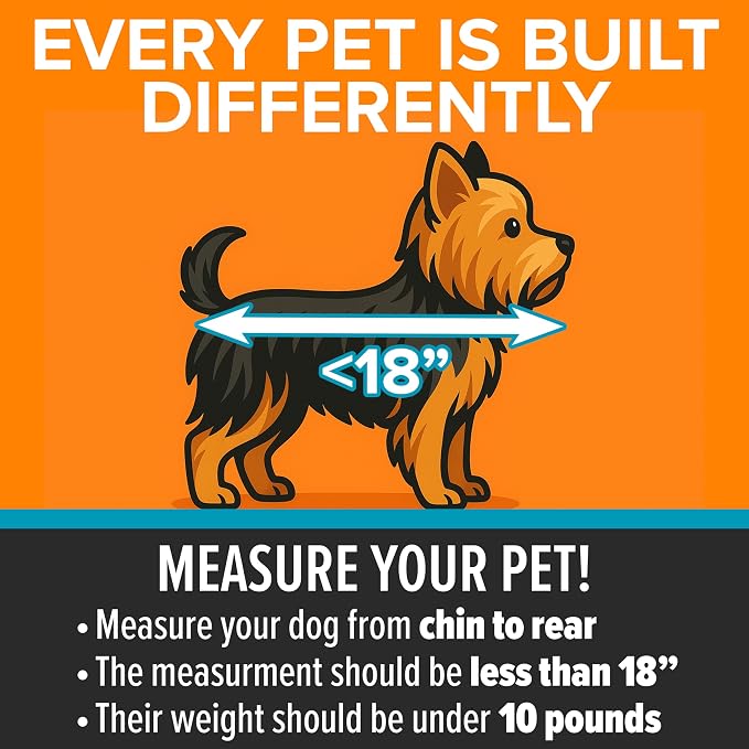 K&H Dog Car Seat, Travel Safety Carrier for Pets, Small, Gray/Black | Enclosed Car Seat for Dogs, Soft-Sided Covered Pet Carrier, Washable Pad, Multiple Entrances, Mesh Windows, 17x16x15in