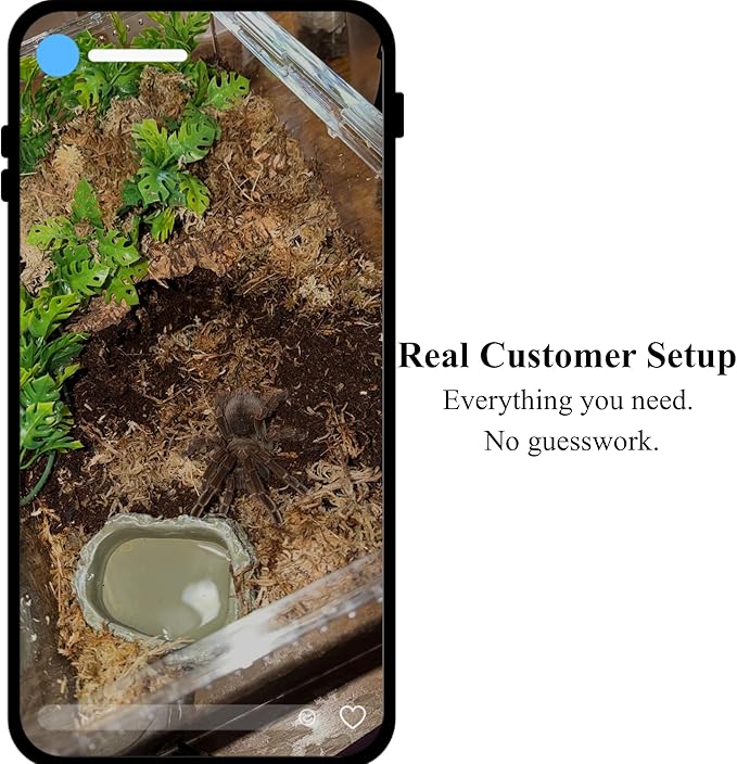 Tarantula Rehousing Supply Kit - Beginner Tarantula Setup Supplies - Substrate, Moss, Plant & Water Dish - Spider Habitat Terrarium Kit