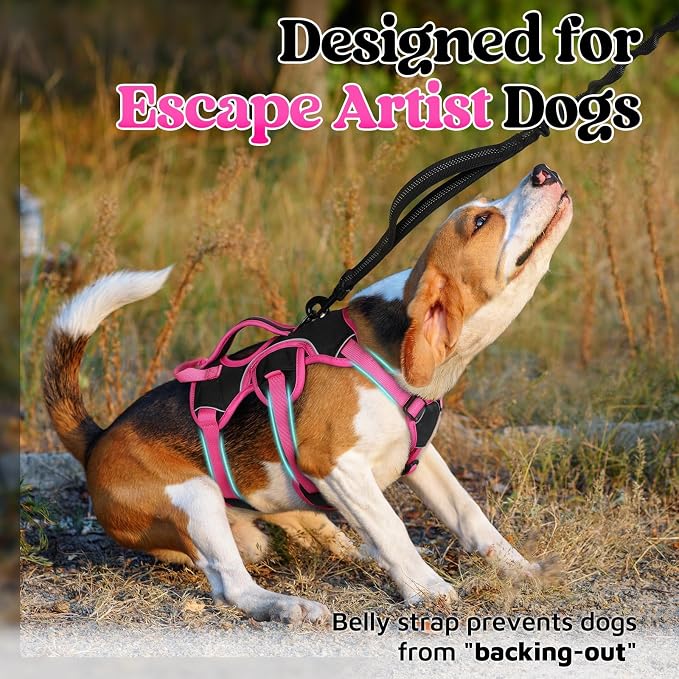 rabbitgoo Escape Proof Dog Harness for Small, No Pull with Lift Handle | No Escape, Full Soft Padded, Reflective Adjustable Vest, Leash Clip for Walking Hiking Training, Rose & Black, Small