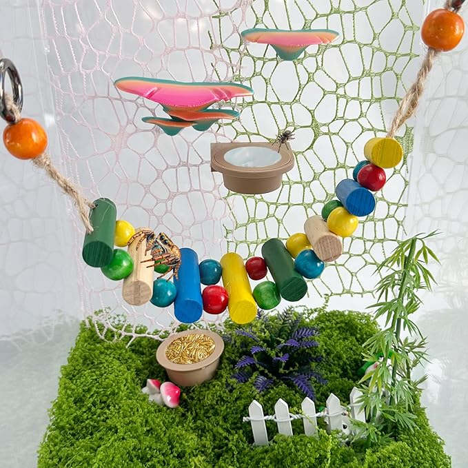 2 PCS Jumping Spider Feeding Dish (1 Detachable with Magnet and 1 for Replacement), Tiny Food Dishes Water Dish for Spider, Tarantula and Other Small Pets Jumping Spider Accessories