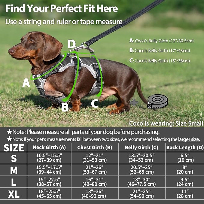Escape Proof Dog Harness, Dachshund Harness, Reflective Dog Harness with Handle, Durable,Adjustable Vest for Small Medium Large Dogs Walking, Training, and Running Gear (Black,M)