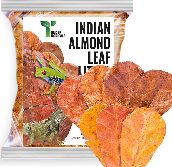 Frog Tank Accesories 100 pcs 3" Leaf Litter for Tree Frogs Indian Almond Catappa Leaves Terrarium Accessories Bioactive Amphibian Habitat Decor
