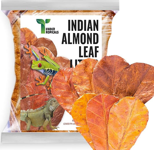 Frog Tank Accesories 100 pcs 3" Leaf Litter for Tree Frogs Indian Almond Catappa Leaves Terrarium Accessories Bioactive Amphibian Habitat Decor