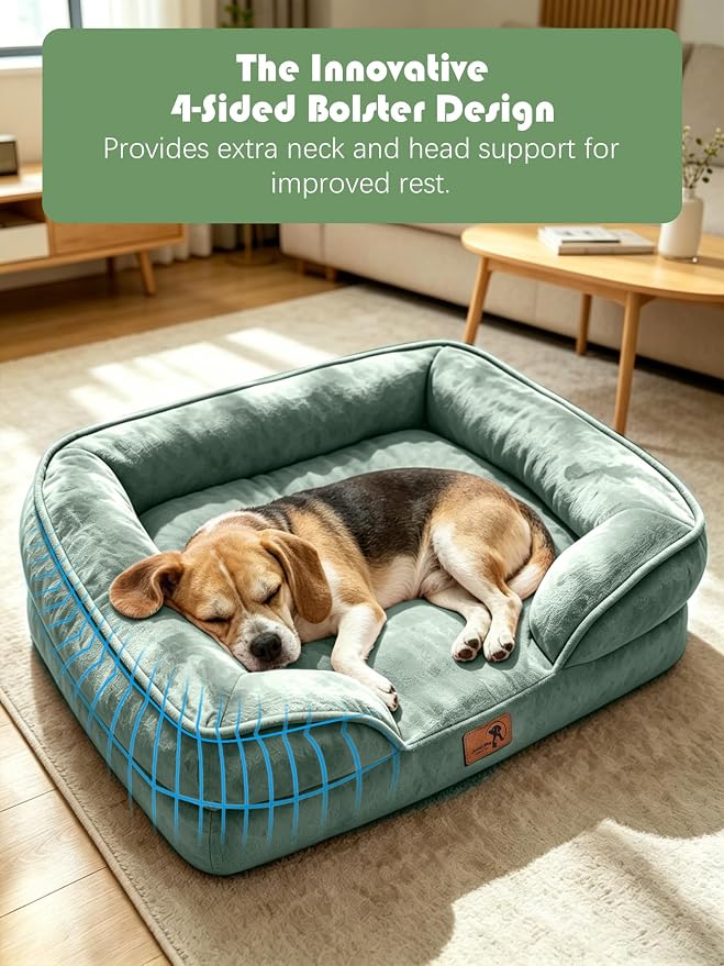 Spotted Play Orthopedic Dog Bed with Sides - Sofa Beds for Medium Dogs, Supportive Foam Pet Couch Bed with Washable Removable Cover, Waterproof Lining and Non-Slip Bottom, Green - M