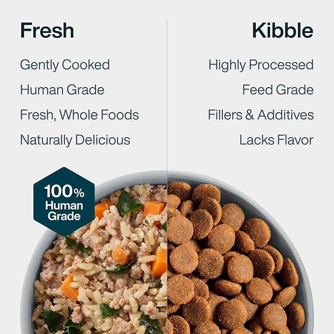 JustFoodForDogs JustFresh Wet Dog Food, Fresh Pet Meals and Toppers with No Preservatives, Resealable Package, Human Grade, Home-Cooked Beef & Chicken, 12 oz - 14 Pack