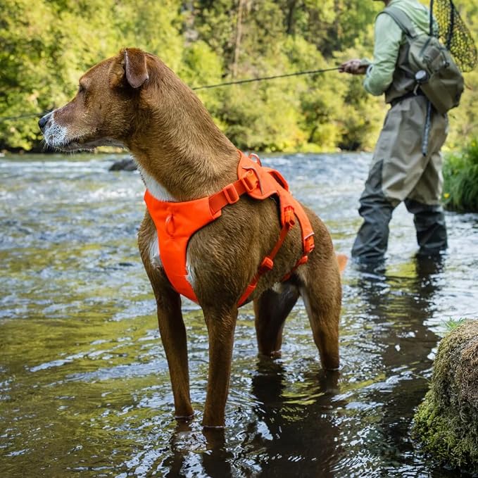 Ruffwear, Web Master, Multi-Use Support Dog Harness, Hiking and Trail Running, Service and Working, Everyday Wear, Red Canyon, Medium