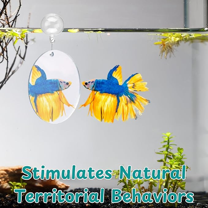 Betta Fish Enrichment Toys Ring and Mirror , Floating Exercise Mirrors And Training Ring, Floating Mirrors Aquarium With Feeding Rings, Fish Toys, Betta Fish Tank Accessories (Blue+Mirror, 6.4cm)