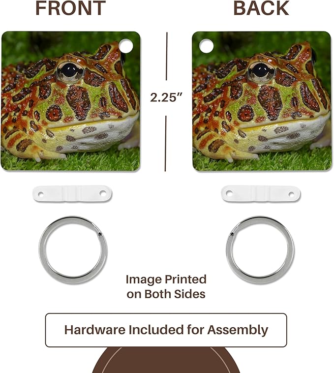 3dRose, High Red Ornate Pacman Frog, Ceratophrys ornate, controlled conditions, Key Chain