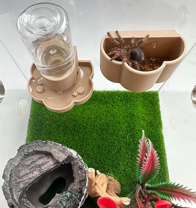 Jumping Spider Water Dispenser, Magnetic Hanging Feeder Dish with Cleaning Brush and Tweezers,Fits for Jumping Spiders,Arboreal Animals, and Other Small Animal Accessories (Green, 8ml)