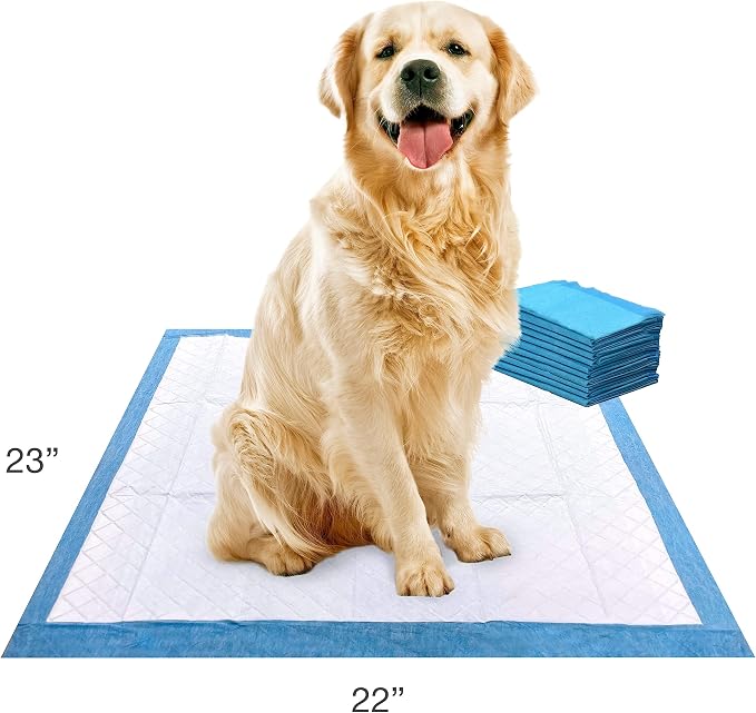 Four Paws Wee-Wee Superior Performance Dog Pee Pads, 10 Count | Quilted leak-proof puppy pads, dog housebreaking & potty training, 24-hour floor protection, pet supplies, 22" x 23"