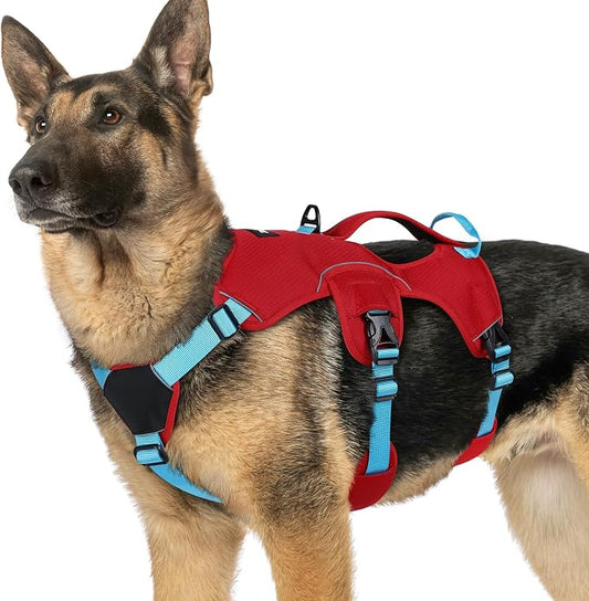 rabbitgoo Escape Proof Dog Harness for X-Large, No Pull with Lift Handle | No Escape, Full Soft Padded, Reflective Adjustable Vest, Leash Clip for Walking Hiking Training, Sky Blue & Red, X-Large