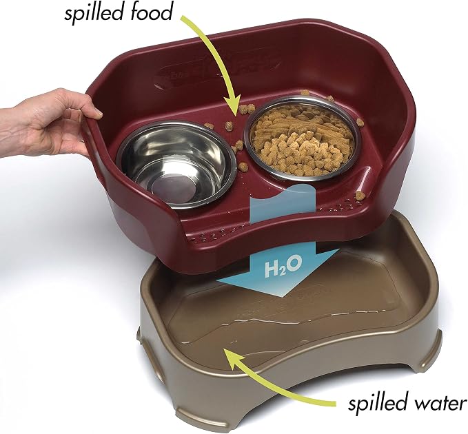 Neater Feeder Deluxe Mess-Proof Elevated Dog Bowls for Small Dogs (Up to 19 lbs), 2 Height Adjustable (6” & 7.5”) No-Spill Raised Dog Bowl Stand, Stainless Steel Food Bowl Set, Made in USA, Cranberry