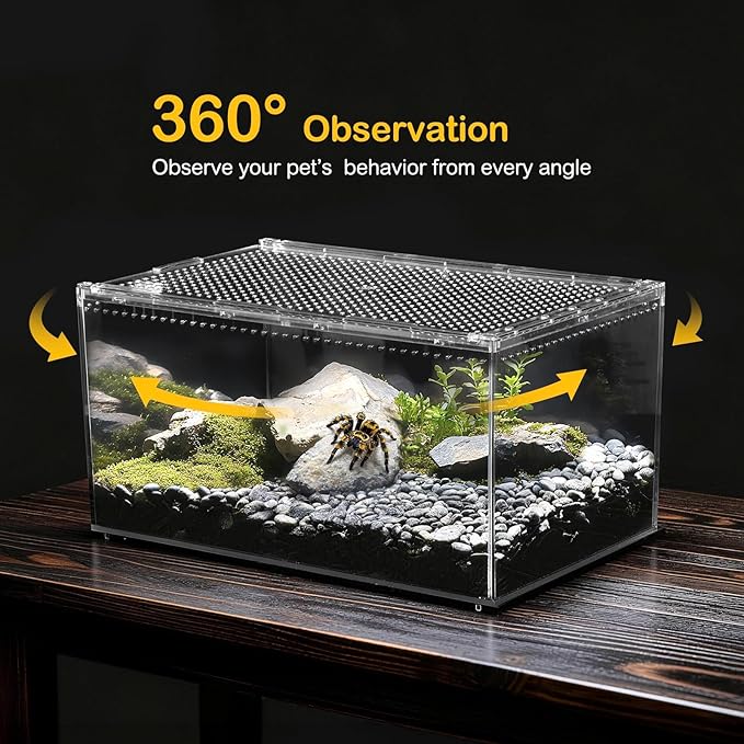 Reptile PC Terrarium,Tarantula Enclosure,Spider Tank Starter Kit,Leopard Gecko Container,Hermit Crab Habitat,Lizard Enclosure,Insect Housing,Jumping Spider Cage,Small Bearded Dragon Vivarium S