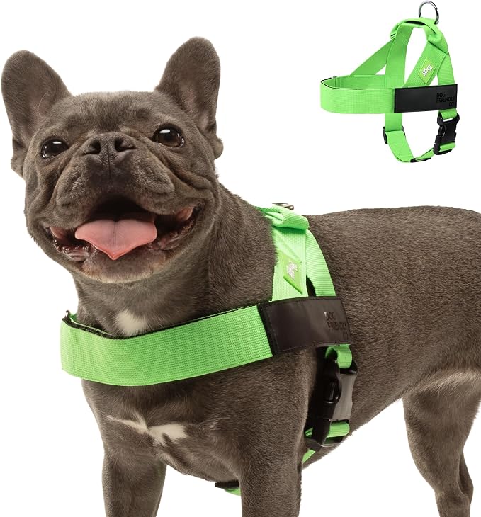 Dog Friendly Co. Dog Harness for Medium Sized Dogs (Neon Green, Medium) | One Click Buckle, Chafe Resistant Webbing, Adjustable Neck & Chest, and Heavy Duty D-Ring, Sturdy Comfortable and Easy to Use