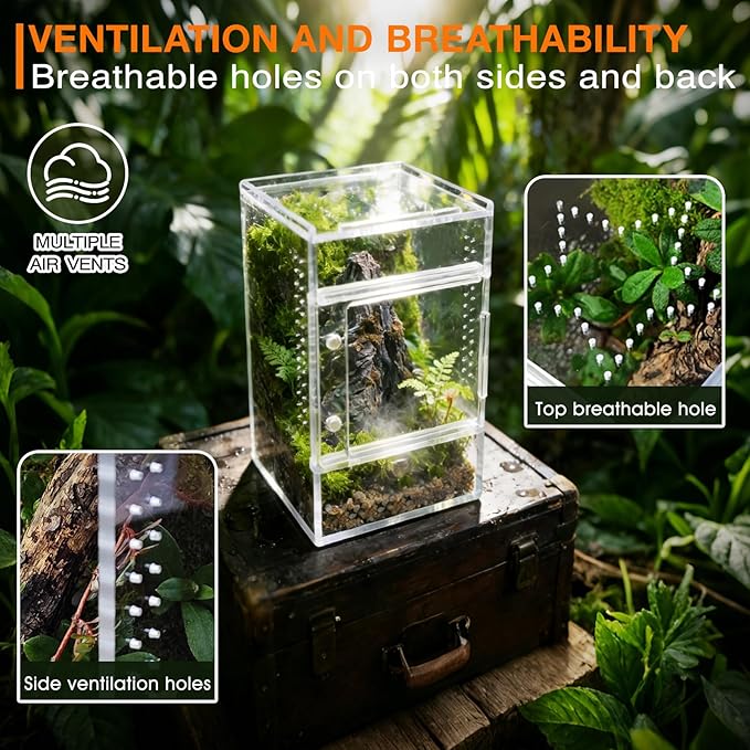 Jumping Spider Enclosure, Small Acrylic Spider Terrarium, Tarantula Spider Box, Magnetic Front & Top Opening, Bug Habitat for Jumping Spiders, Tarantulas, Praying Mantis, Snails