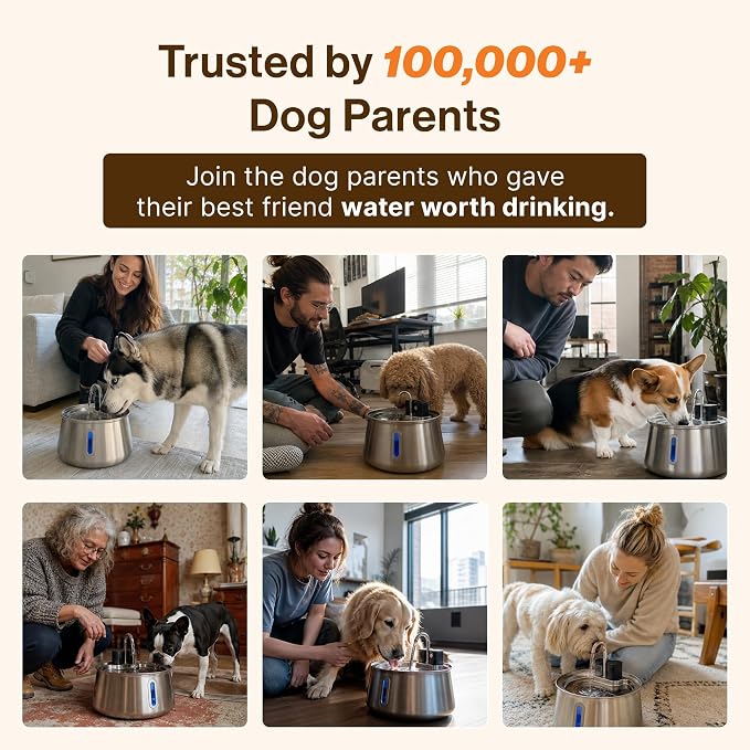 Selene Wireless Doggy Fountain, 7L (1.85 Gal) Cordless Dog Water Fountain for Dogs Inside, Stainless Steel Pet Fountain, 4-Layer Filtration, 30-Day Battery