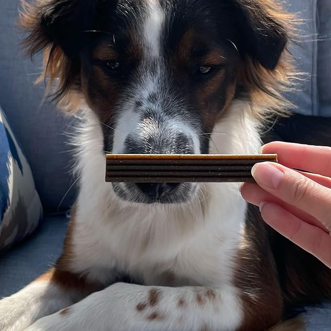 Bocce's Bakery Dental Brushy Sticks for Medium Dogs – Natural, Wheat-Free Dental Bars to Support Oral Health & Fresh Breath, Made with Real Ingredients – Coconut & Mint Recipe (2 Pack Bundle)