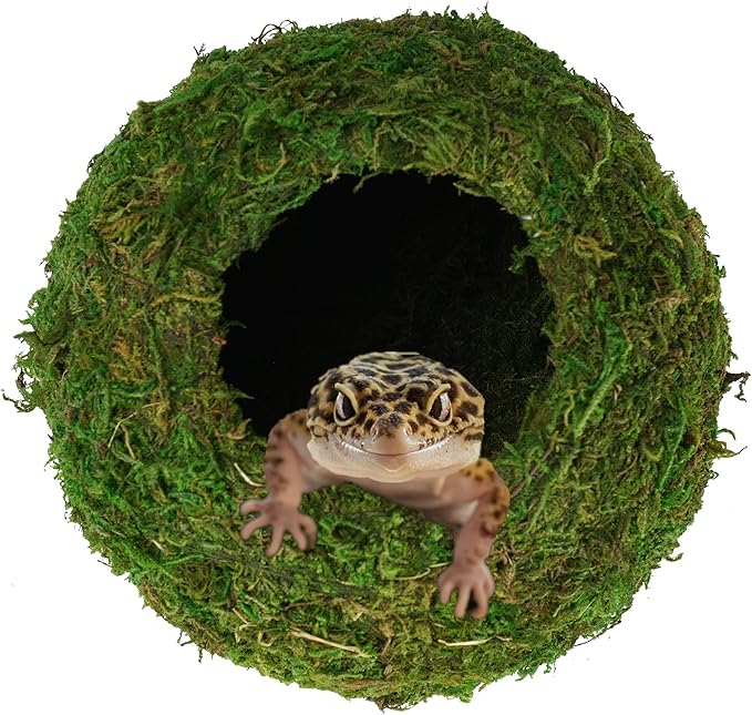 USMOLA Mossy Caves, Artificial Green Moss Caves Hide for Pet Reptile Frogs and Snakes, Terrarium & Vivarium Decor, Crested Gecko Tank Decor (6" - Woodland Green)