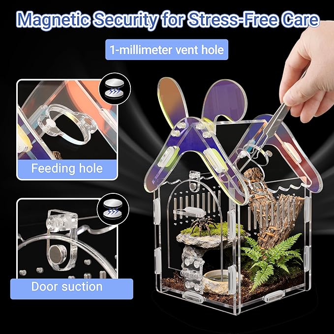 Acrylic Jumping Spider Enclosure with Magnetic Lock, 3mm Clear Terrarium for Tarantula, Mantis, Scorpion | Escape-Proof, No Tool Assembly