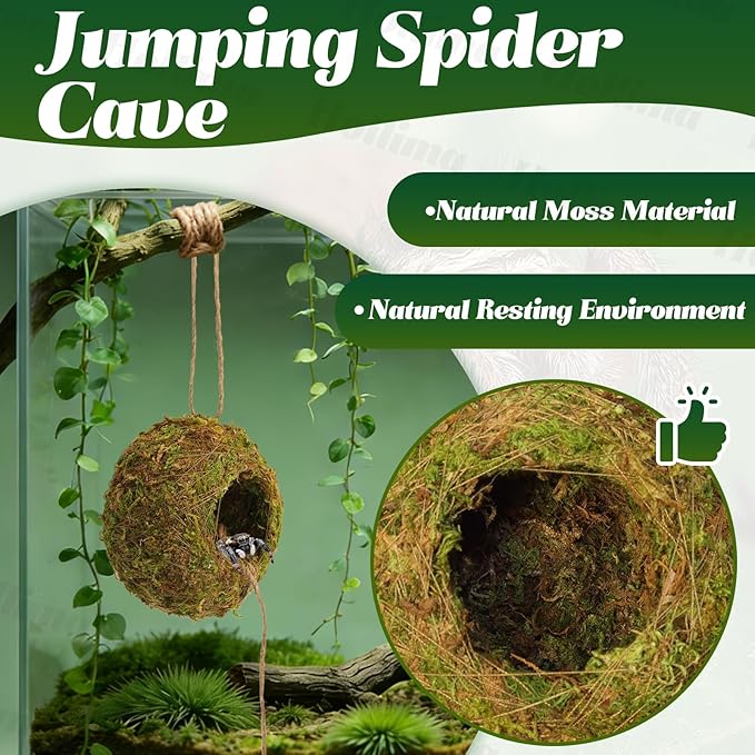 Jumping Spider Moss Cave Hide, Round Yellow Small Spider Moss Hideout, Jumping Spiders Cave Accessory for Reptile Terrarium